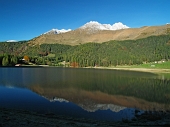 Da Borno in Val Camonica bella traversata Rif. Laeng - Rif. S. Fermo sulle pendici del Pizzo Camino il 19 ottobre 2010 - FOTOGALLERY